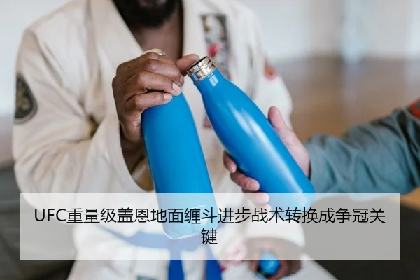 UFC重量级盖恩地面缠斗进步战术转换成争冠关键